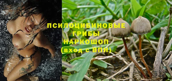 прущие грибы Касимов