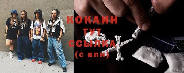 индика Каменногорск