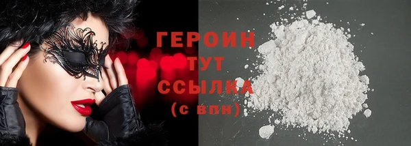 индика Каменногорск