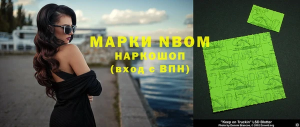 мдпв Карпинск