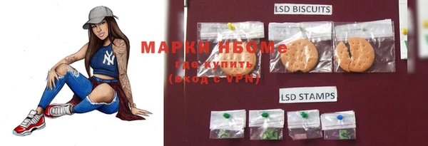 твердый Иннополис