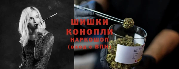 молекула духа Вяземский