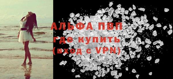 индика Каменногорск