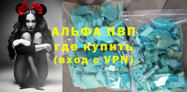 индика Каменногорск