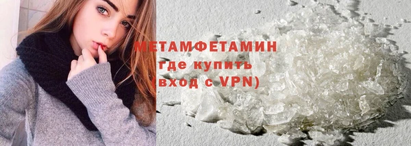 индика Каменногорск