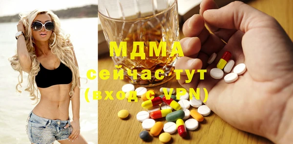 индика Каменногорск