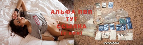 индика Каменногорск