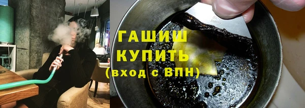 индика Каменногорск