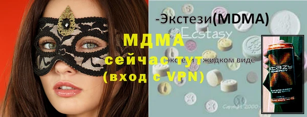 индика Каменногорск