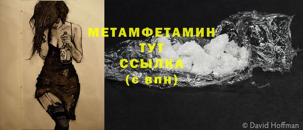 индика Каменногорск
